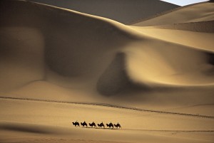 camel caravan crossing desert