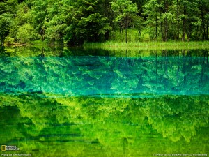 JiuZhaiGou